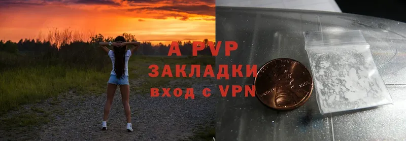 A-PVP СК  Калачинск 