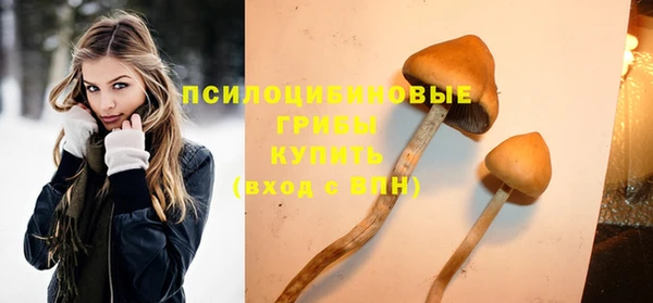 дурь Струнино