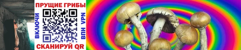 Псилоцибиновые грибы Psilocybine cubensis  MEGA tor  Калачинск  наркотики 
